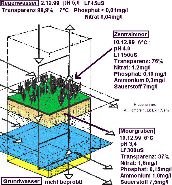 stoffum.gif (45948 Byte)