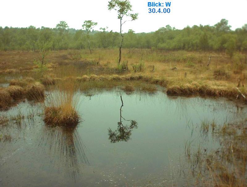 Klick: Hydrologische Karte